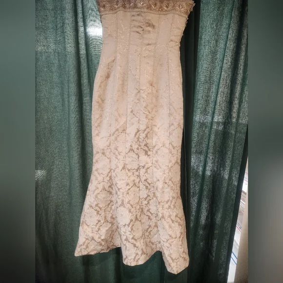 Zara Floor Length Cream/ Gold Dress with Gold Accents and Removable Jewel Accent - Picture 6 of 8